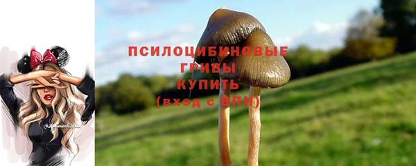 ешки Богородск