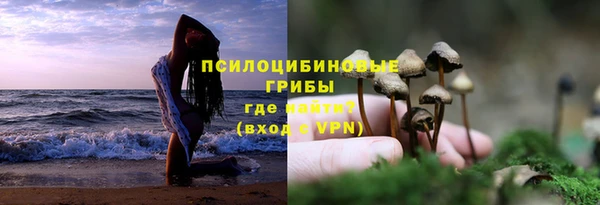 ешки Богородск