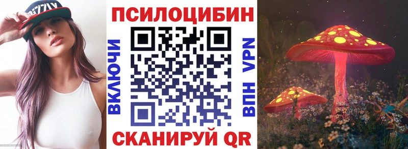 наркотики Венёв Псилоцибиновые грибы мицелий